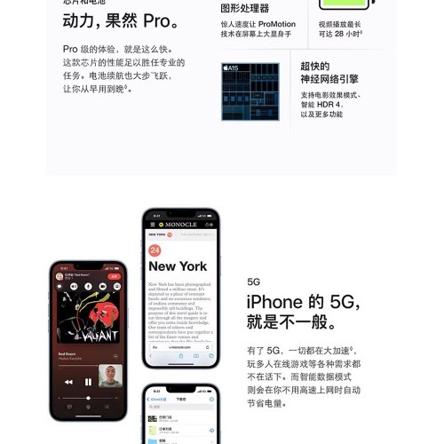 Apple/苹果 iPhone 13 Pro Max苹果13promax全网通5G手机
